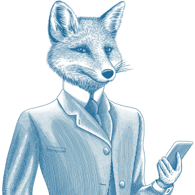 hero image