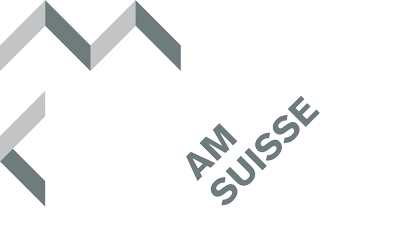 AM Suisse Link